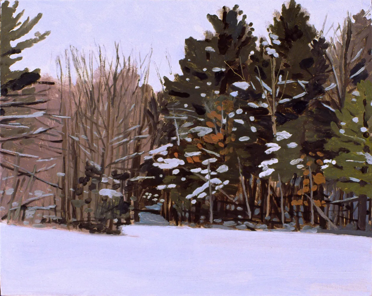 slide-image